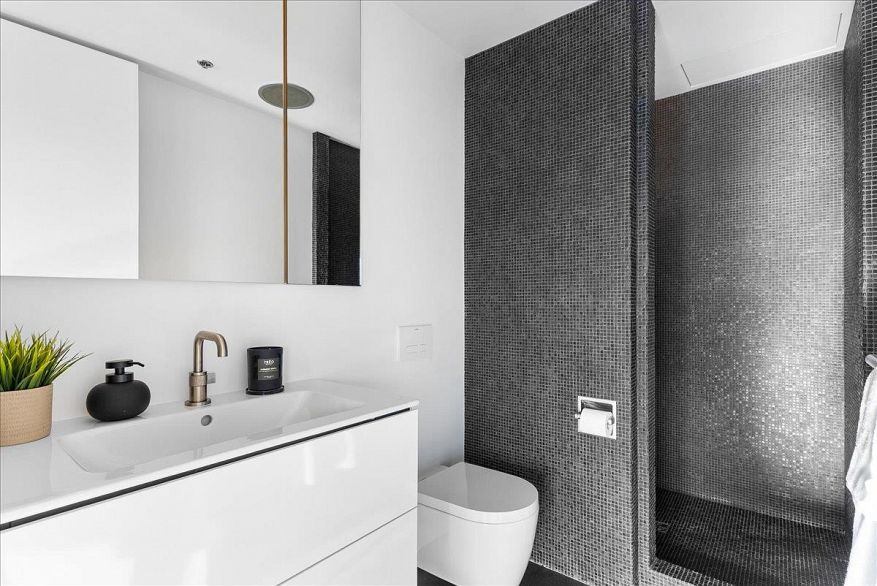 PH 2801 1238 Richards Street