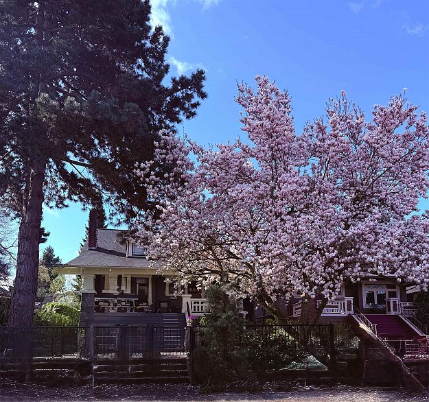 3044 Point Grey Road