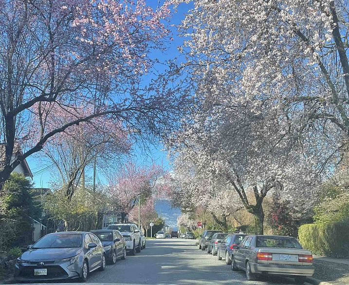 3044 Point Grey Road