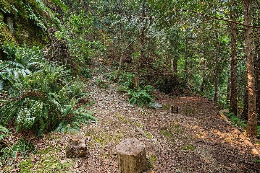 1558 Mount Gardner Road