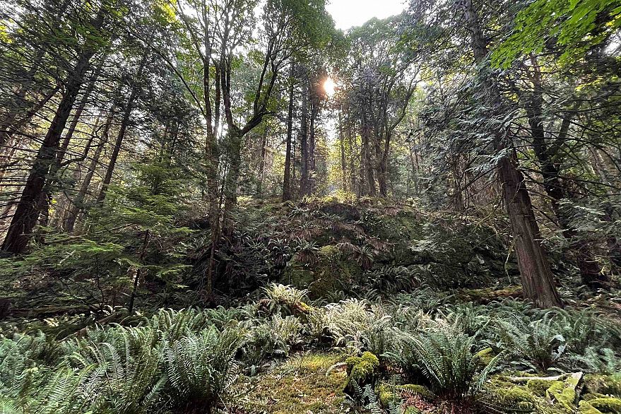 1558 Mount Gardner Road