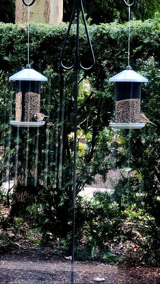 110 5728 Berton Avenue