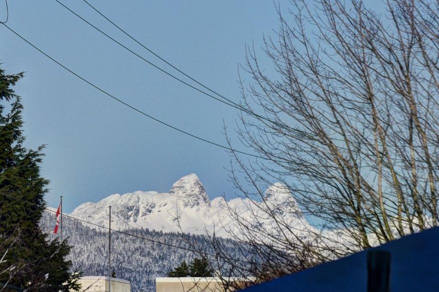 207 677 W 41ST AVENUE, Vancouver BC V5Z 3M4