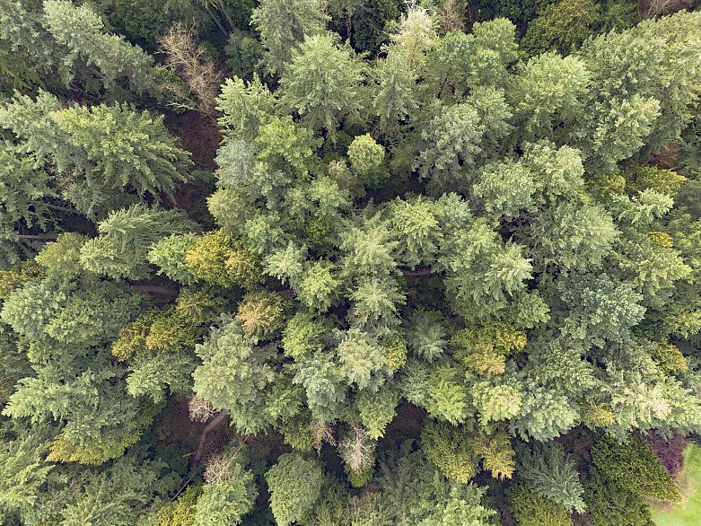 402 4688 W 10th Avenue