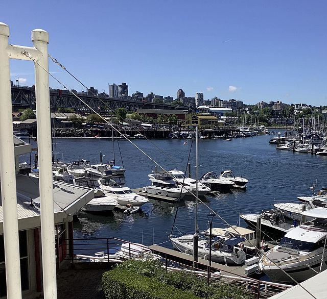 203 1008 Beach Avenue