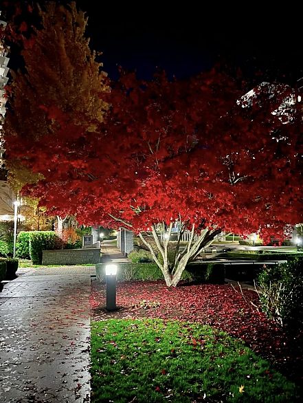 110 5728 Berton Avenue