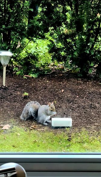 110 5728 Berton Avenue