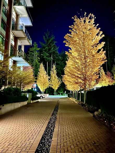 110 5728 Berton Avenue