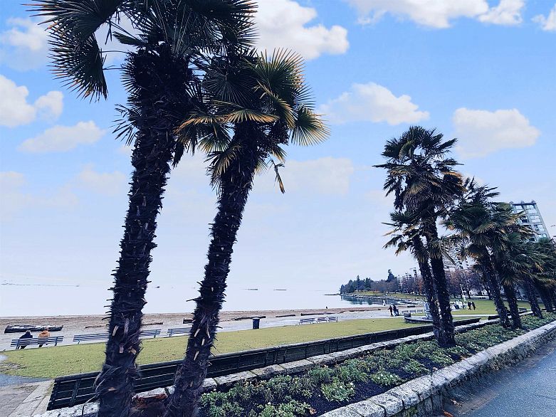 1103 1221 Bidwell Street