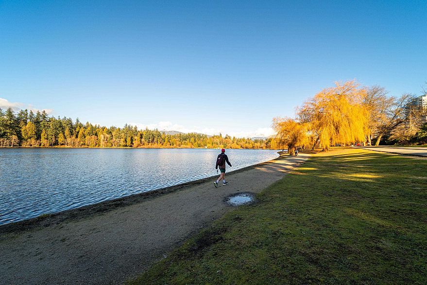 106 1972 Robson Street