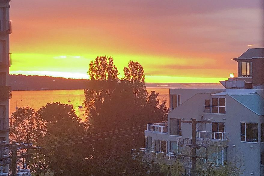 301 1330 Harwood Street