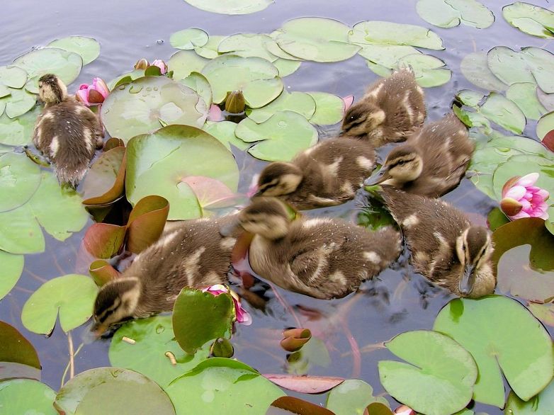 315 2020 E Kent Avenue South