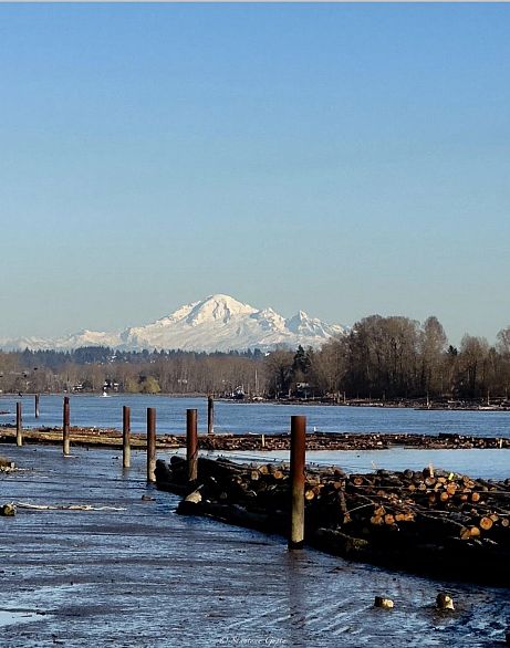 305 8580 River District Crossing