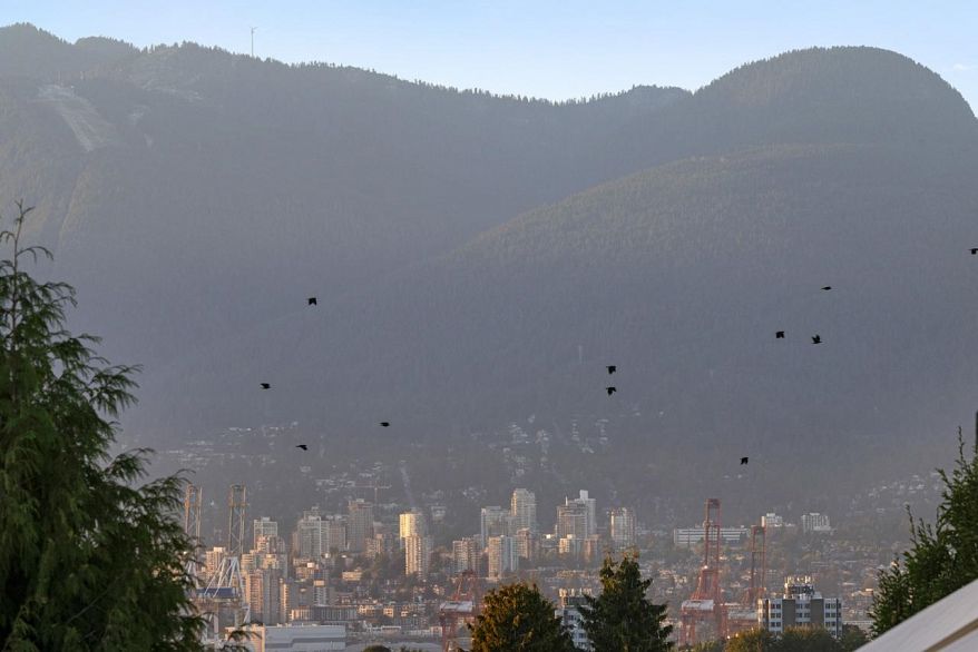 PH2 3939 Knight Street