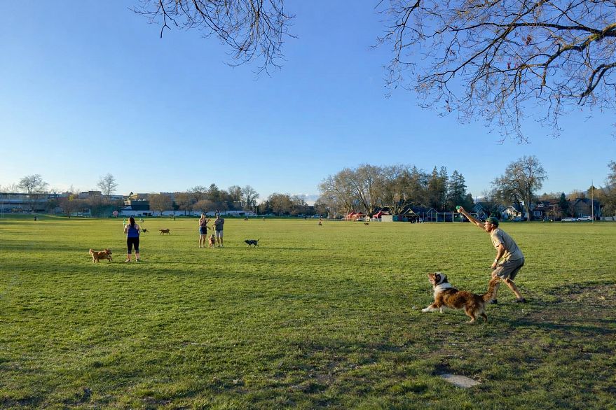 104 2688 Vine Street