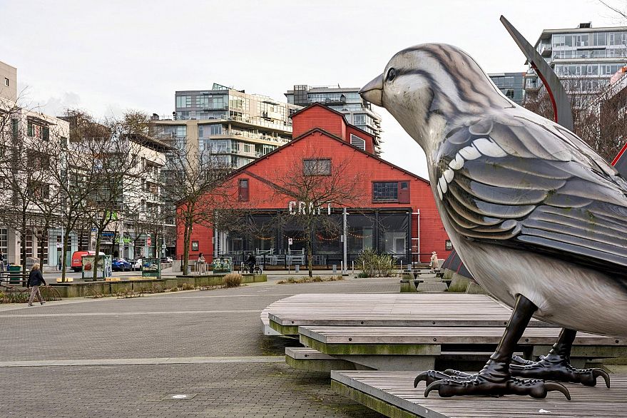 102 128 Athletes Way