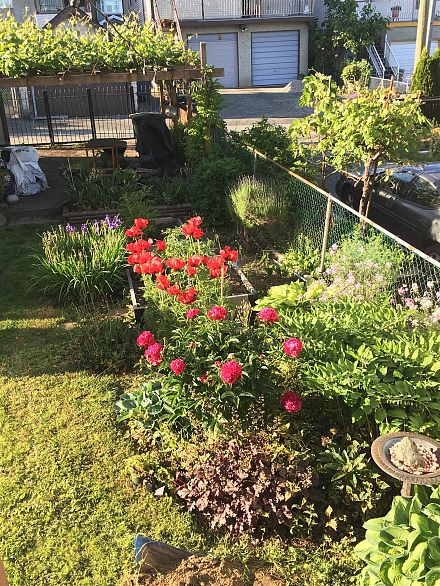 2867 E Georgia Street