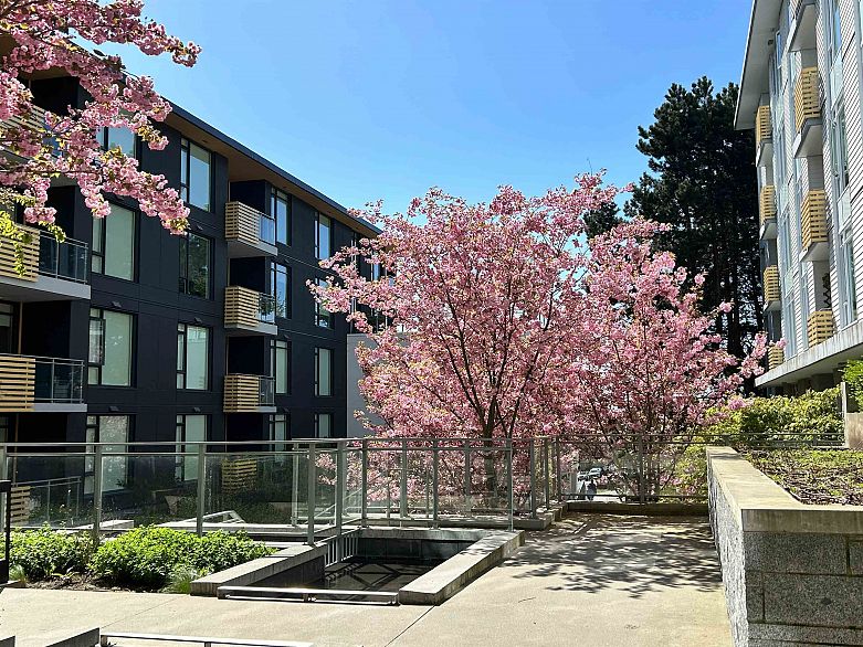 609 7428 Alberta Street