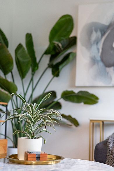 2156 E Pender Street