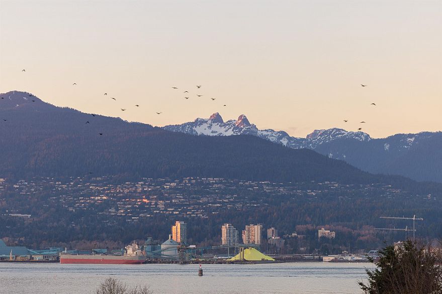 308 27 Alexander Street