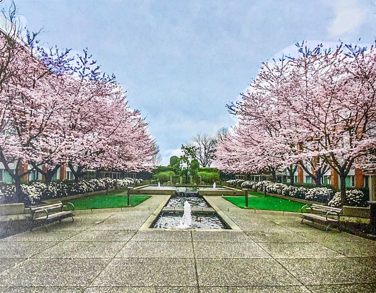 412 618 W 45th Avenue