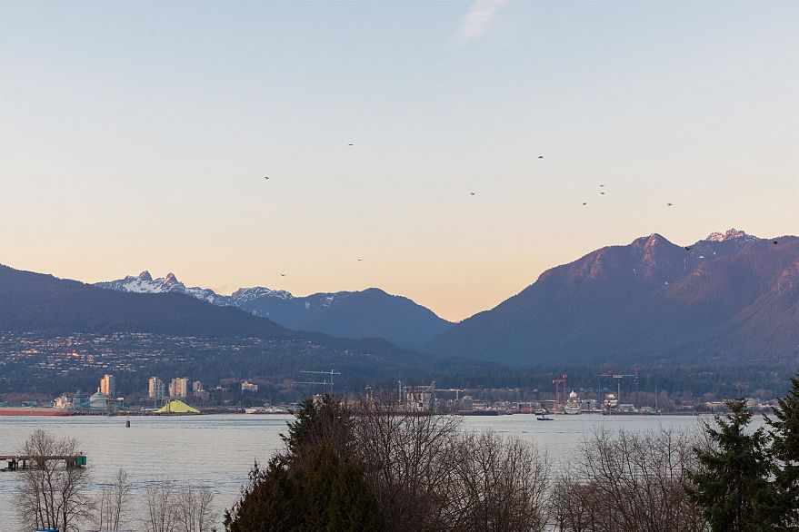 308 27 Alexander Street