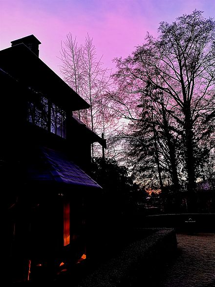 6786 Blenheim Street