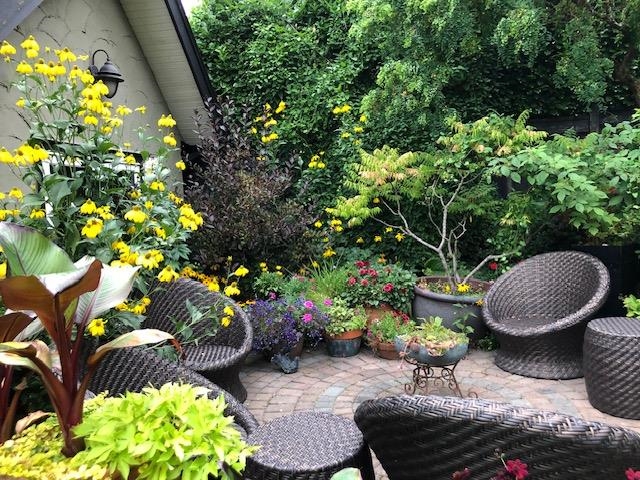 6137 Mccleery Street