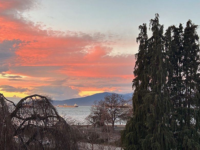 PH 1480 Arbutus Street