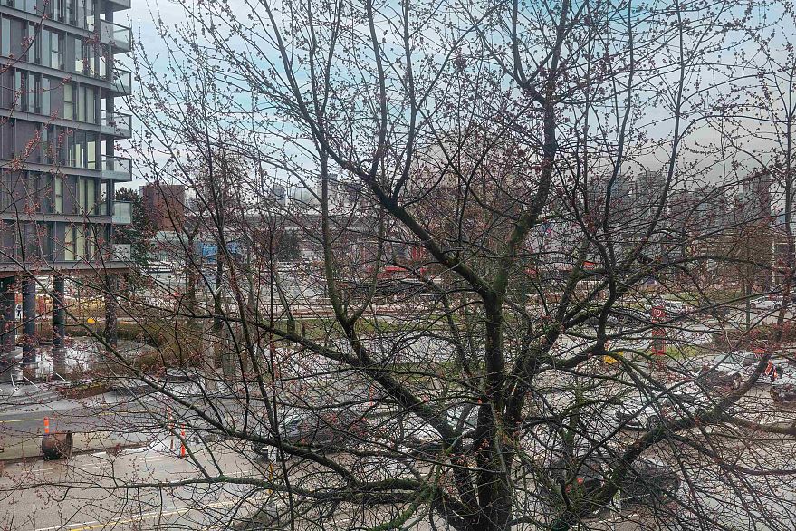 311 1618 Quebec Street