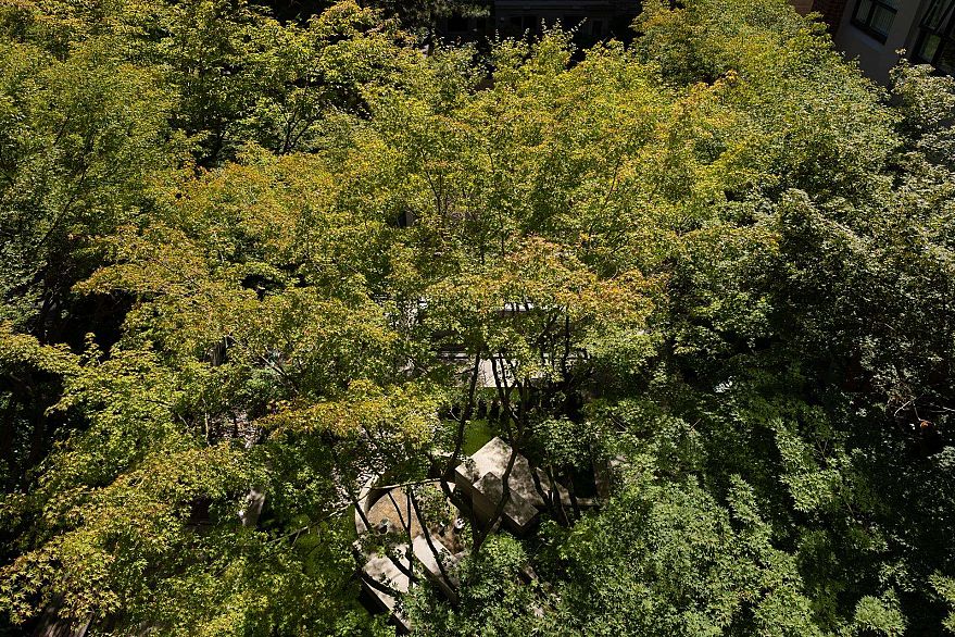 401 988 Richards Street