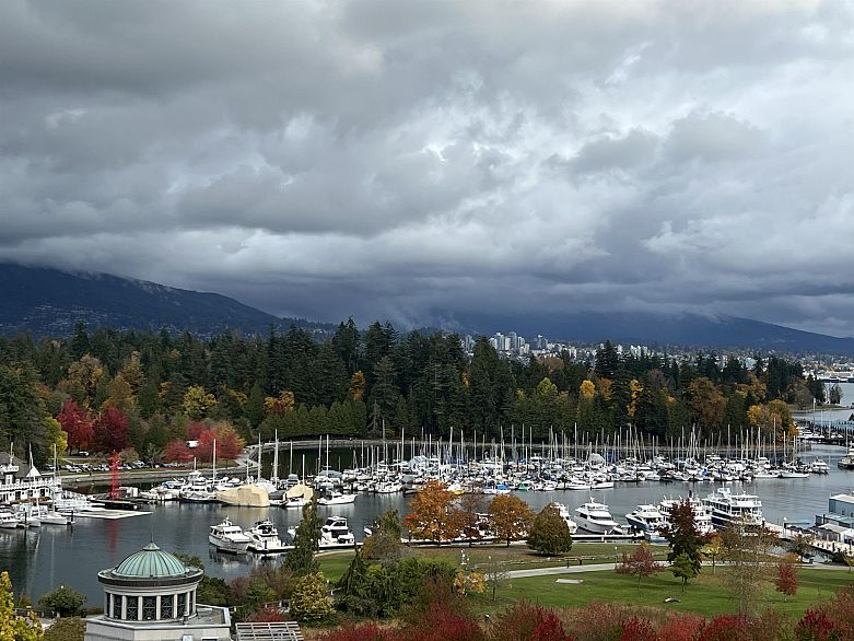 901 710 Chilco Street