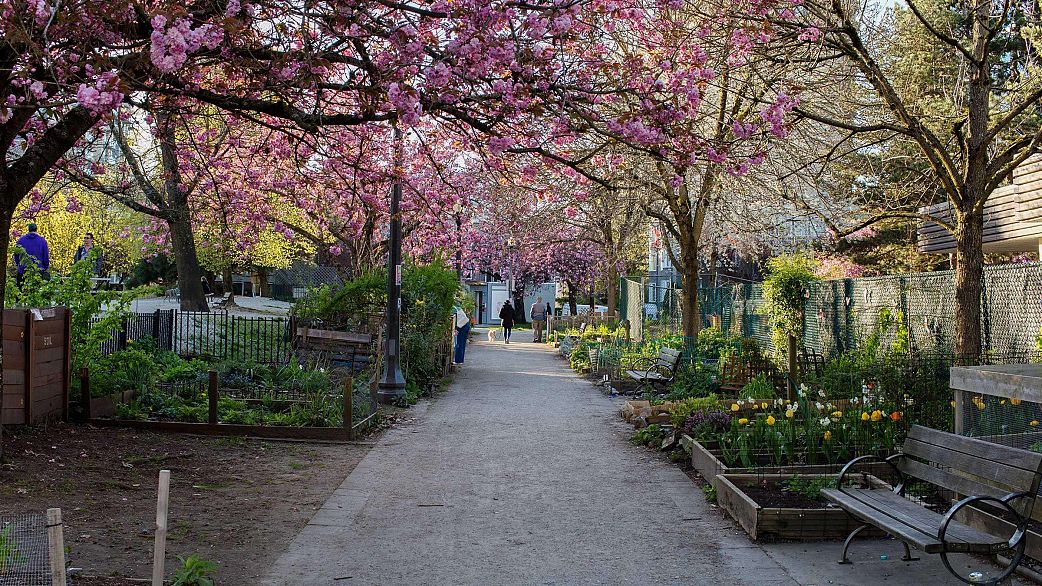 201 1535 Nelson Street