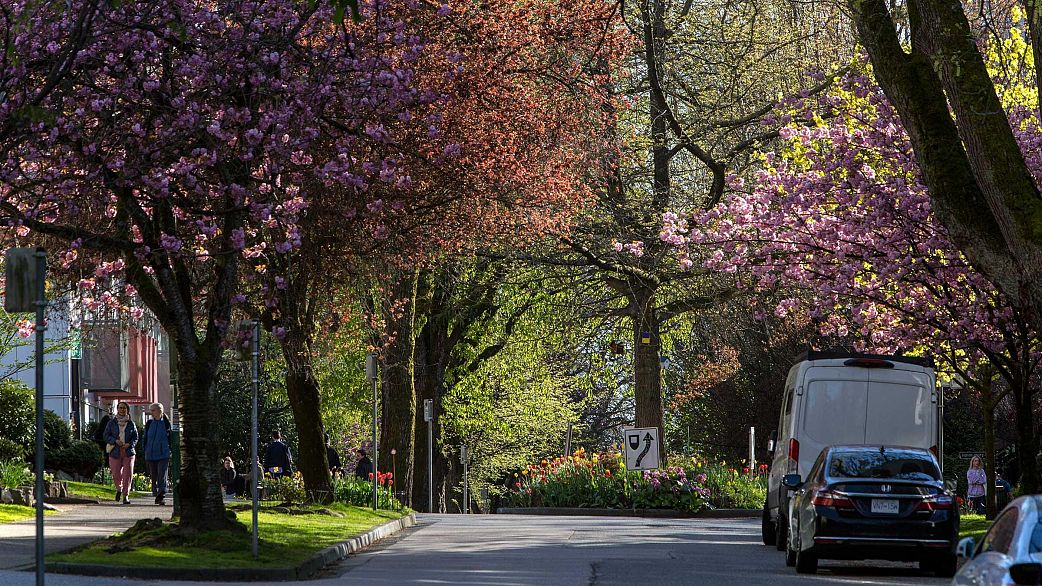 201 1535 Nelson Street