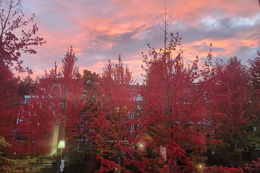 202 6268 Eagles Drive