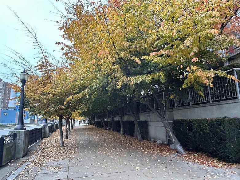 717 161 W Georgia Street