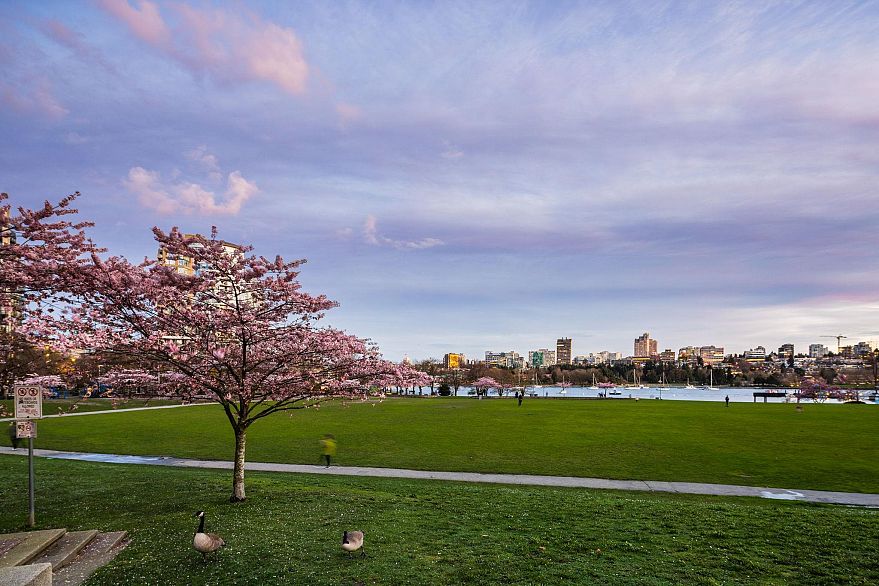 806 1318 Homer Street