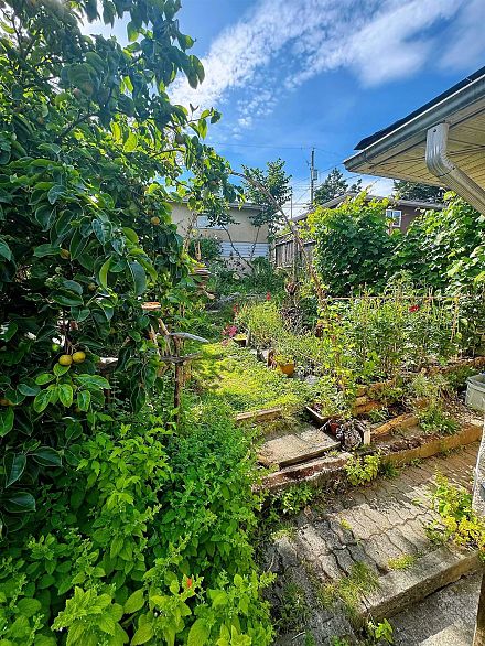 5569 Culloden Street