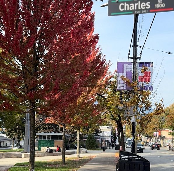 208 1516 Charles Street