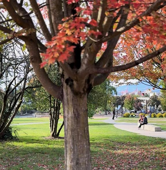 208 1516 Charles Street