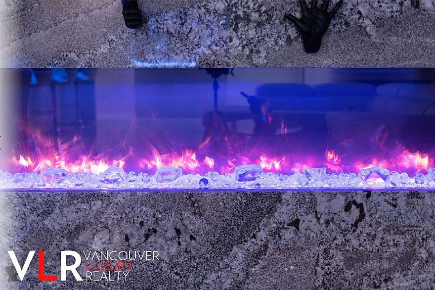 PH 199 DRAKE STREET, Vancouver BC V6Z 2Y8