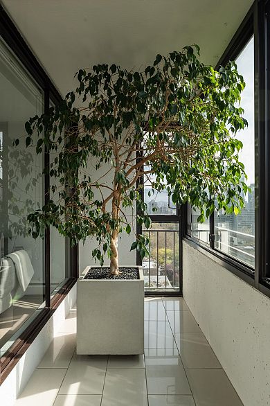 1806 1725 Pendrell Street