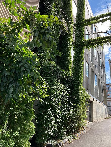 203 234 E 5th Avenue