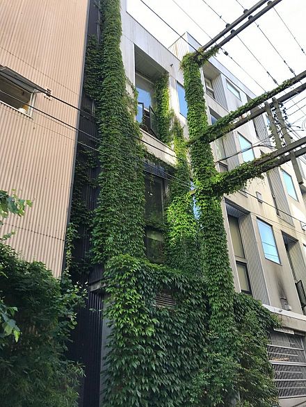 203 234 E 5th Avenue