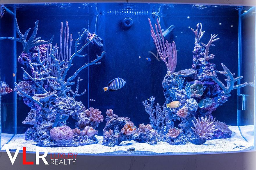 PH 199 DRAKE STREET, Vancouver BC V6Z 2Y8