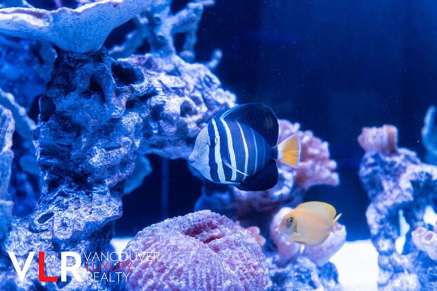 PH 199 DRAKE STREET, Vancouver BC V6Z 2Y8