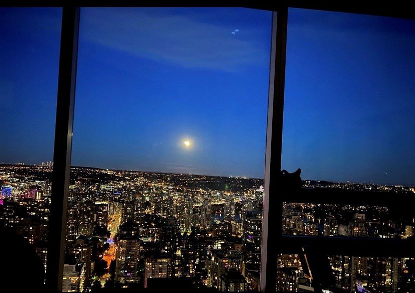 3403 938 Nelson Street