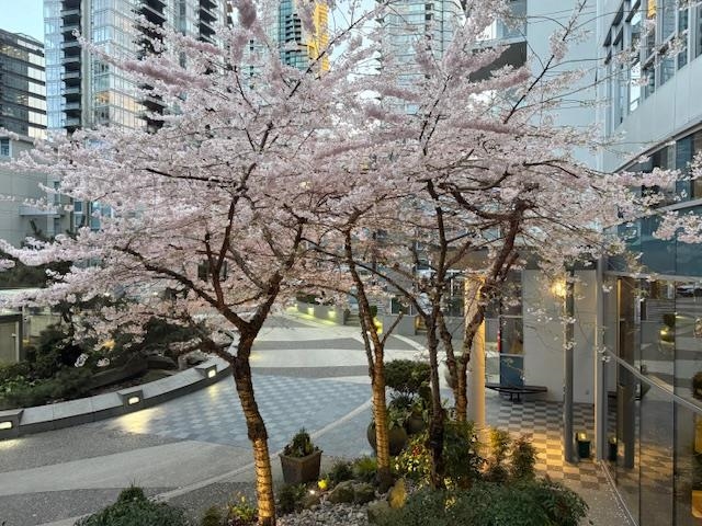 TH20 1281 W Cordova Street