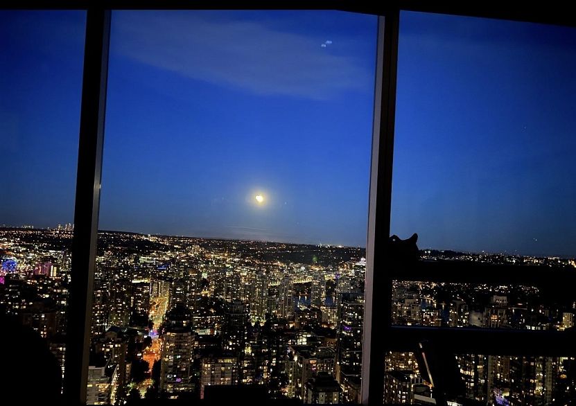 3403 938 Nelson Street