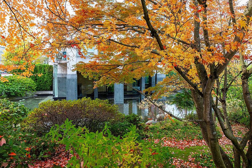 602 1550 W 15th Avenue